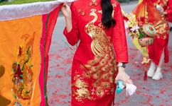 国产毛2卡3卡4卡视频免费